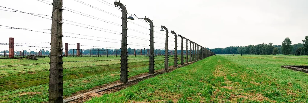 electric fences for security