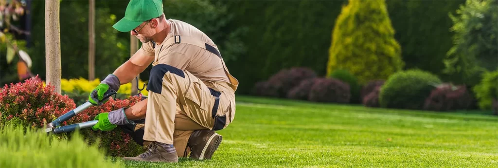 garden-maintenance